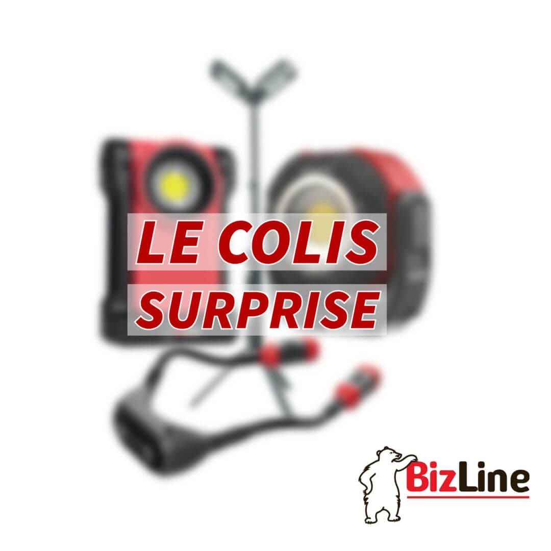 Unboxing : Colis surprise de BIZLINE - LJVS